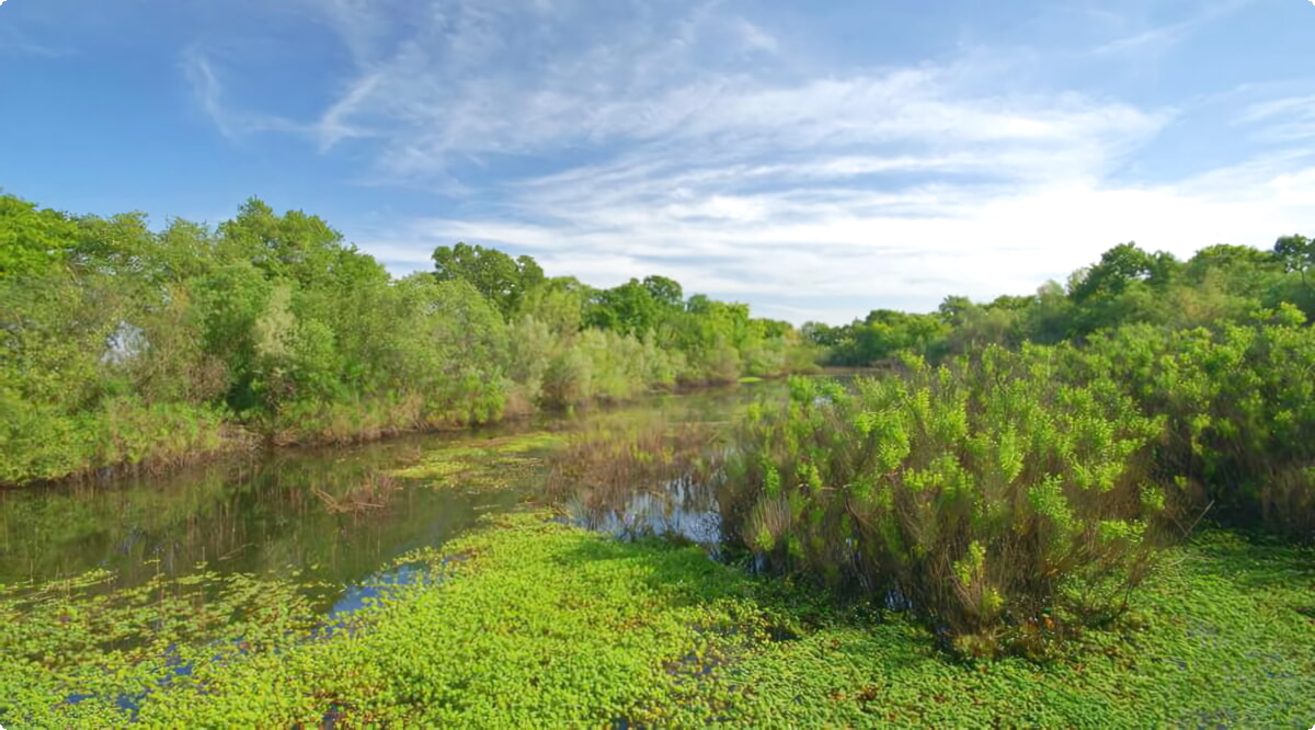 Nosso inventário inclui uma ampla variedade de veículos.